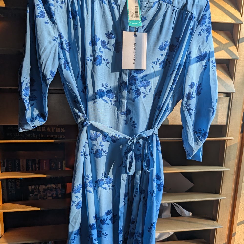 41 Hawthorn Blue Floral Dress